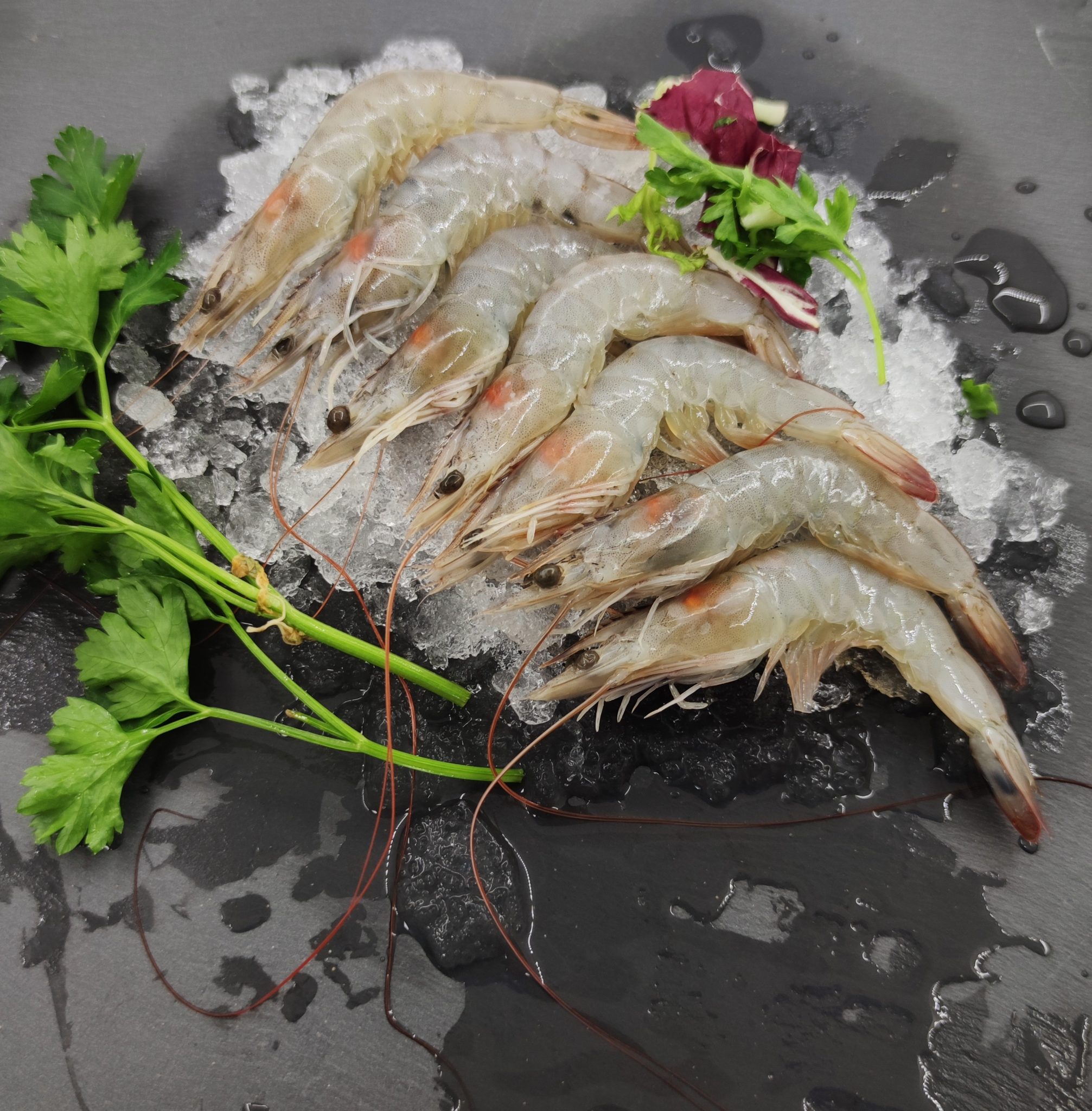 The Freshest Catch? Find Your Perfect Pescaderia Near You! - x6nctr9