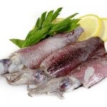 Chipirón Sahariano "3P"