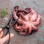 Pulpo T-3